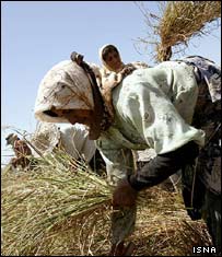 زنان شاليکار